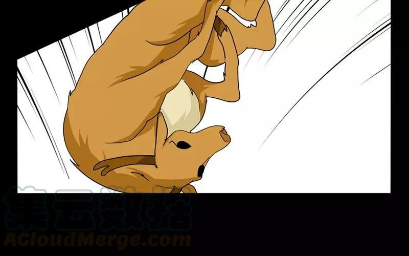 37 秋猎 第57页