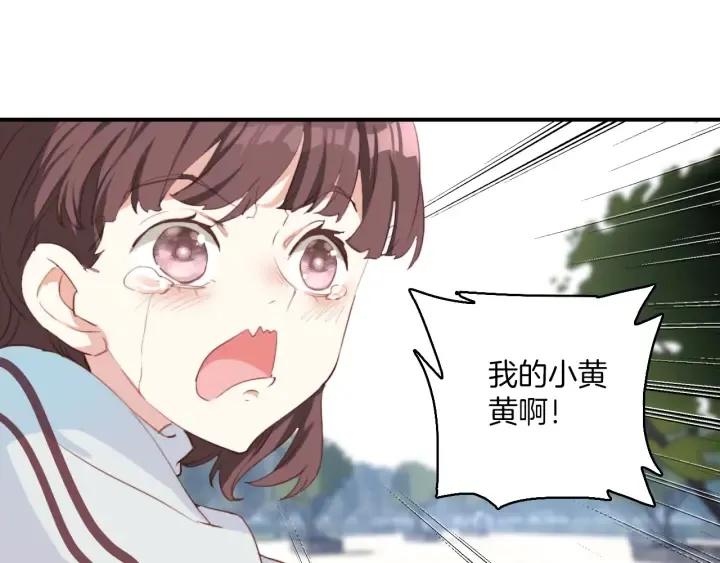 第27话：给花花的礼物。 第56页