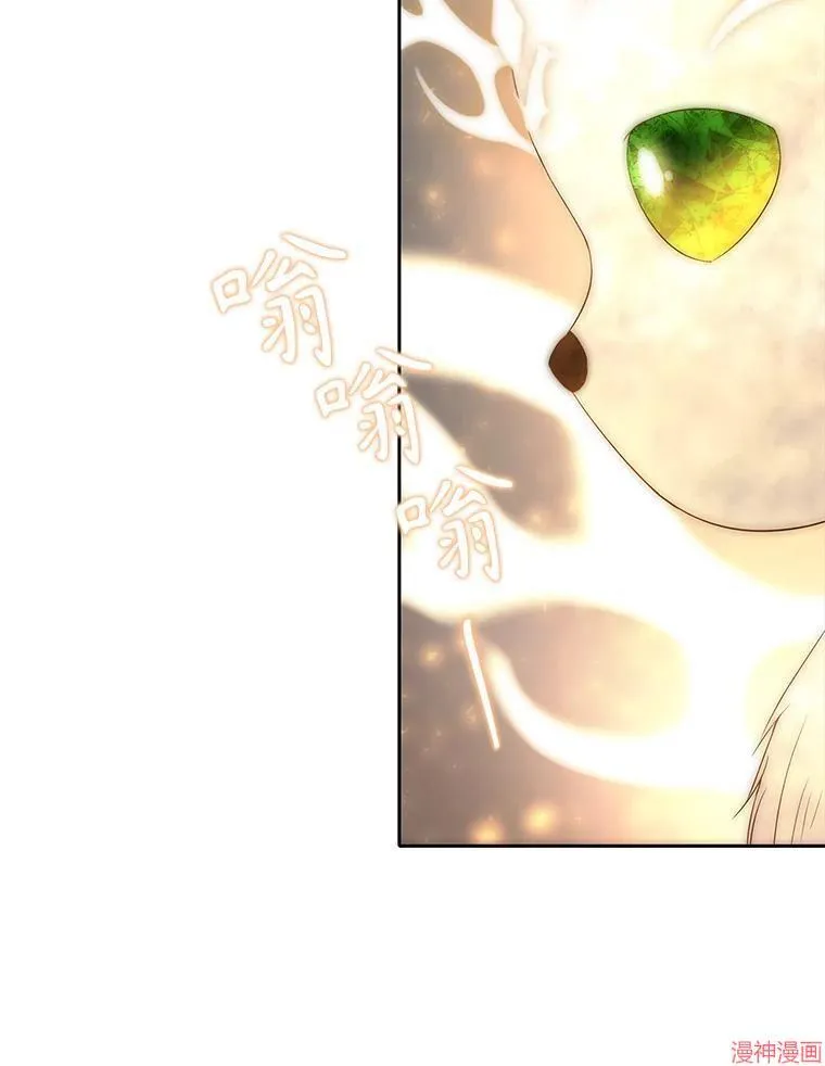 第192话 第78页