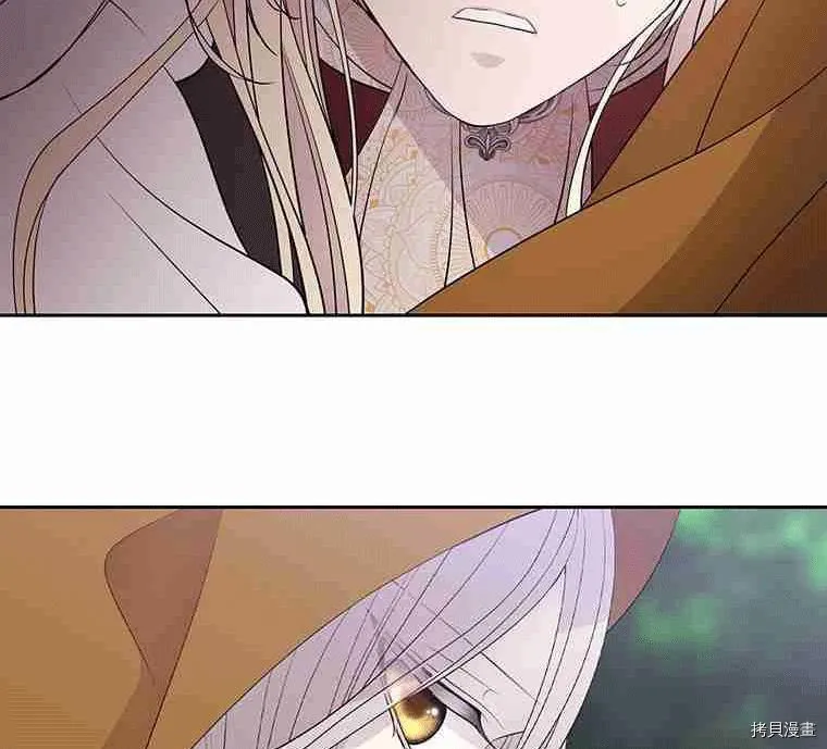 第68话 第66页