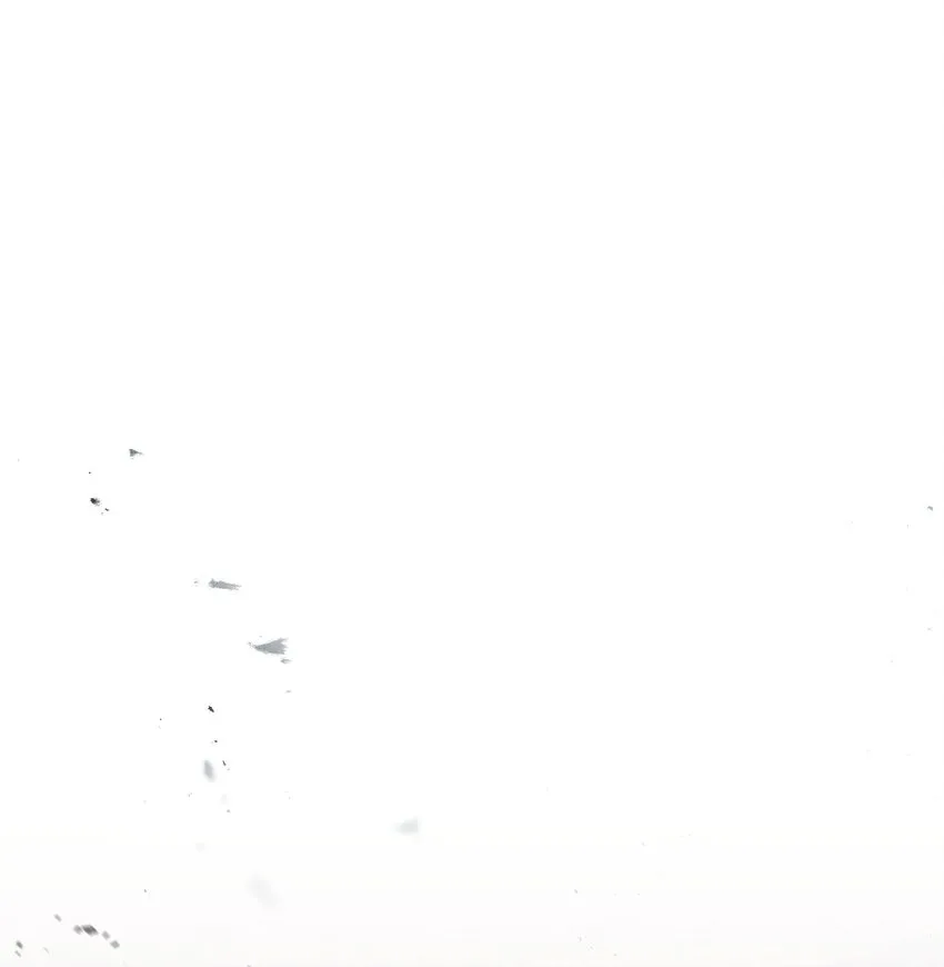 115 被选中的人 第1页