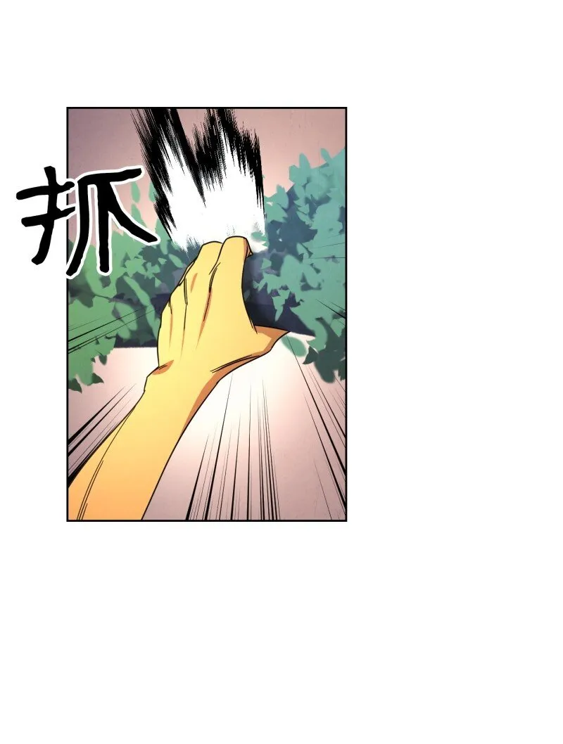 15 冲突 第14页