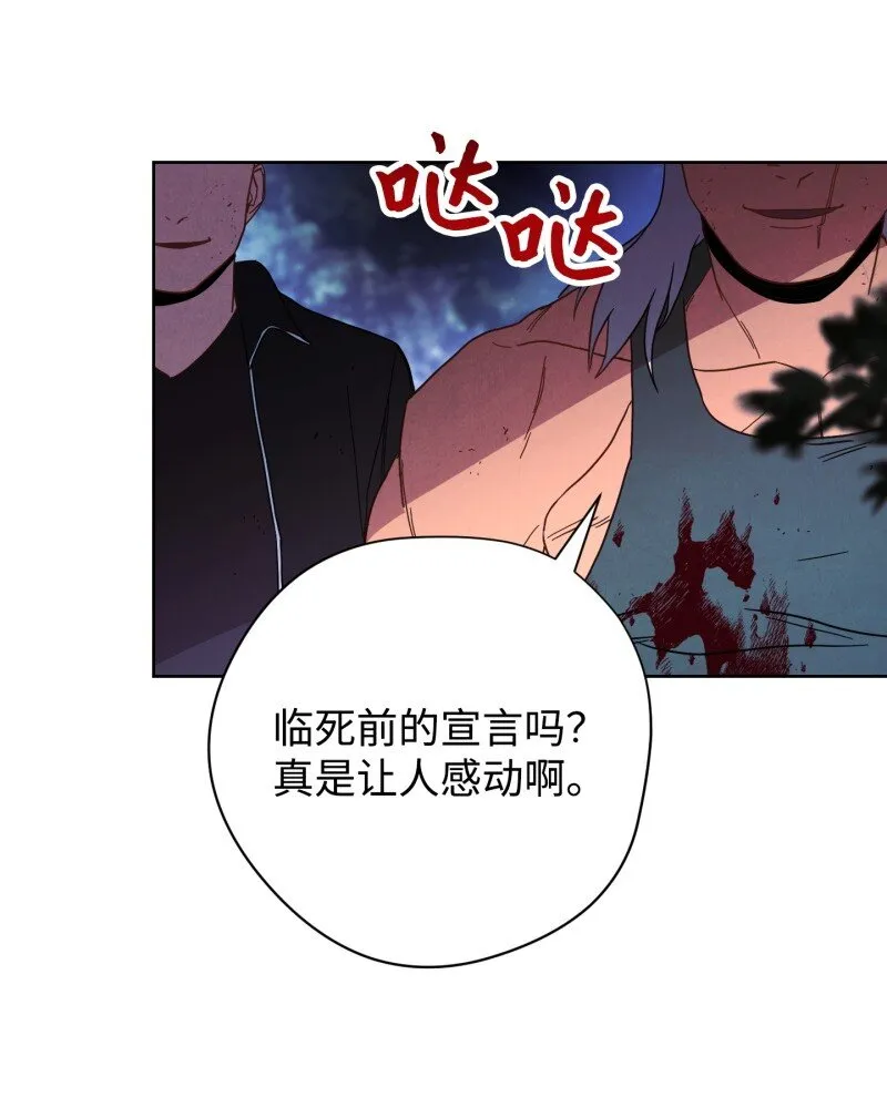 15 冲突 第46页