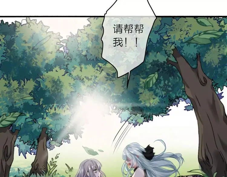 番外1 琥珀由来 第43页