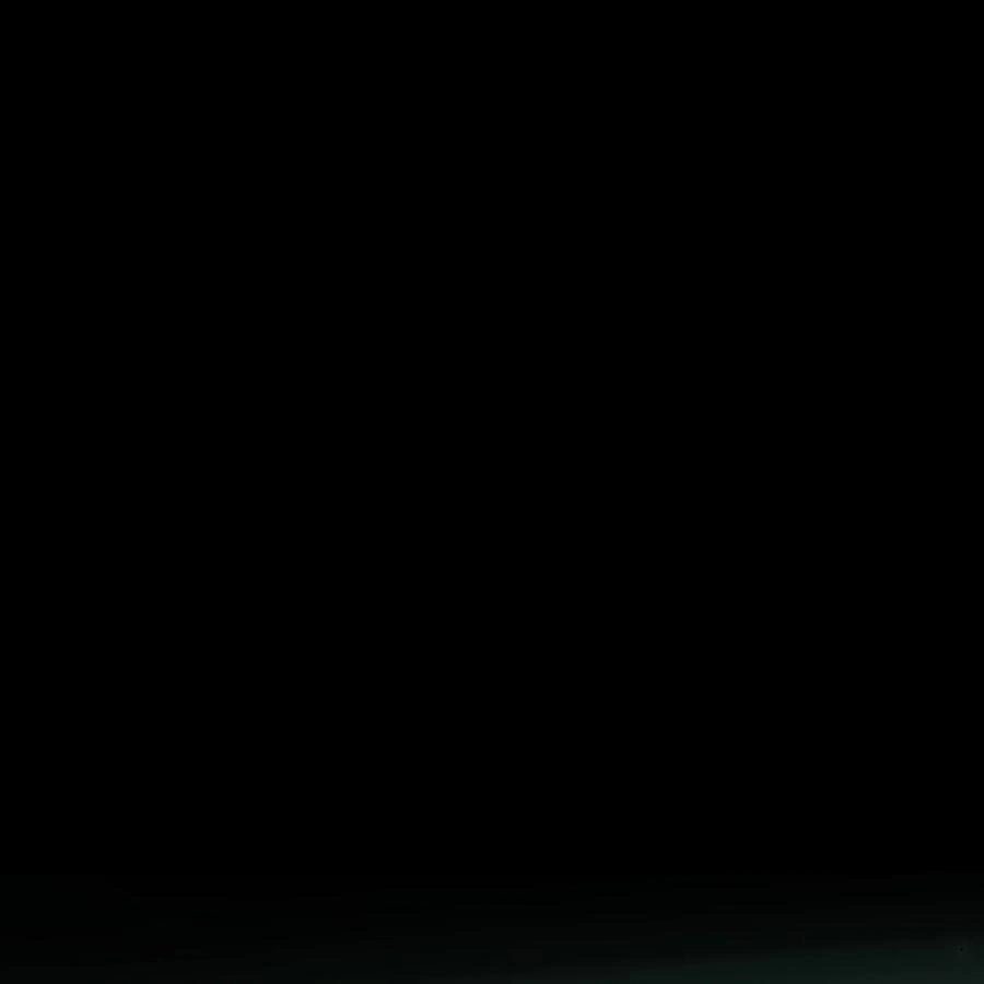 039 生变 第17页