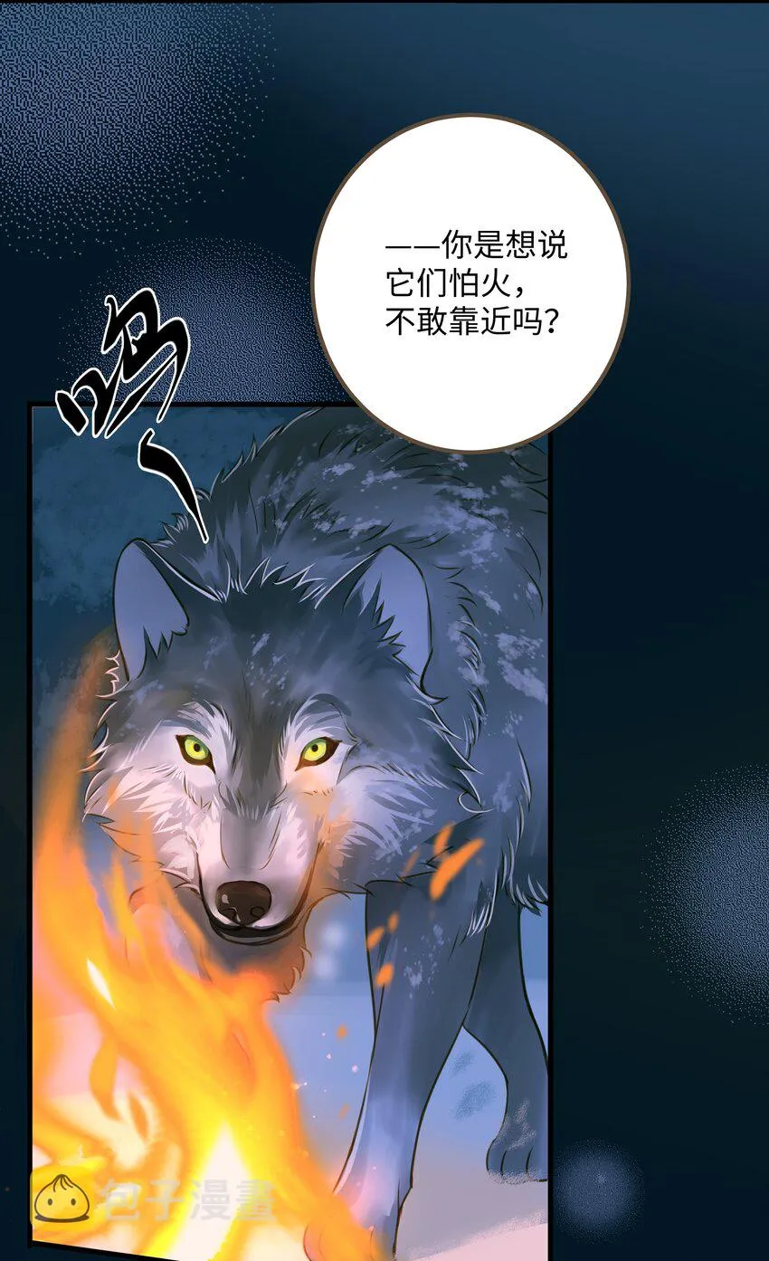 073 狼群 第12页