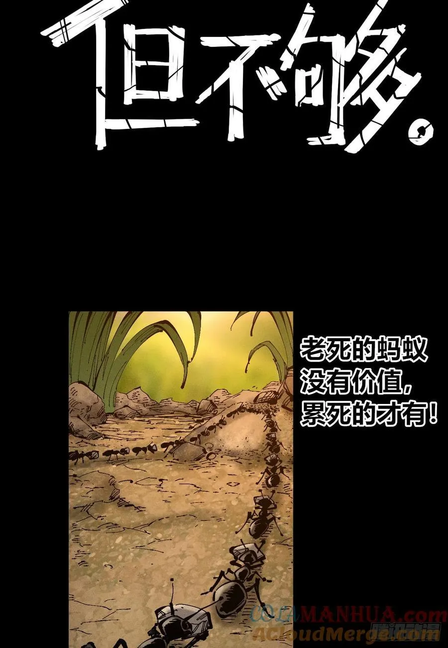 皇·金 第19页