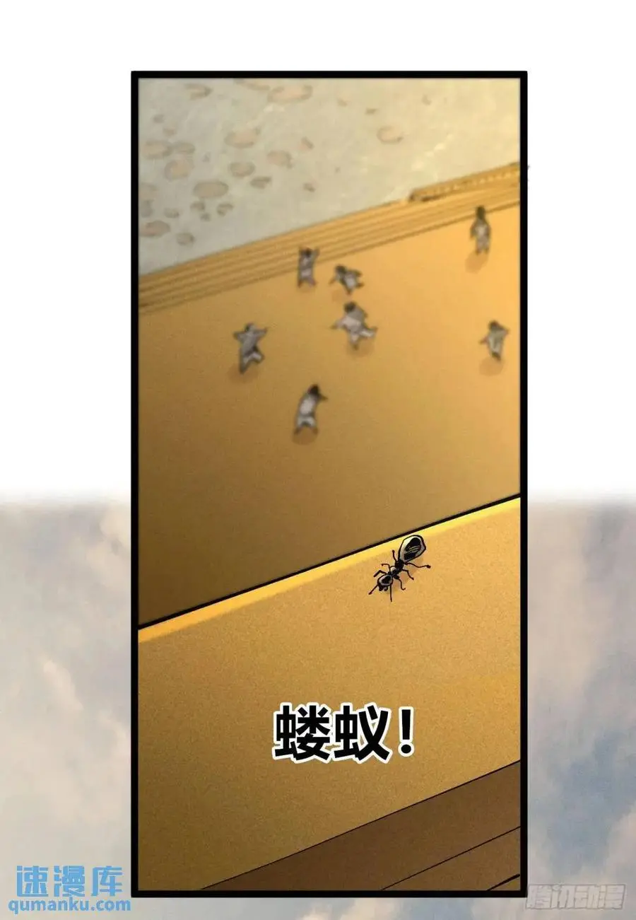 起点与终点 第63页
