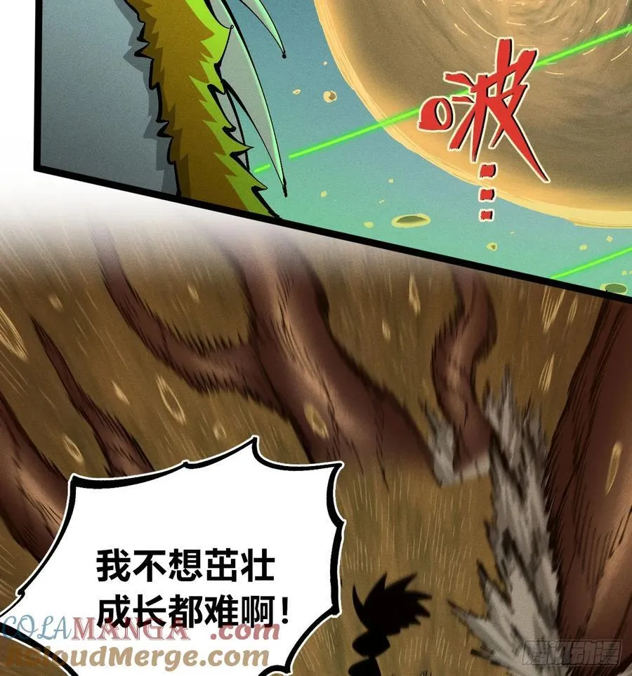 组合技 第55页