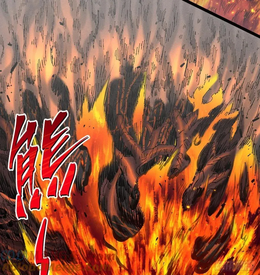 组合技 第79页