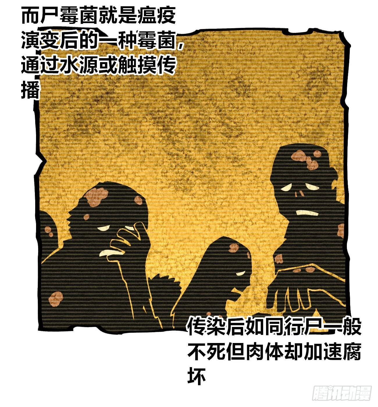 二号城的女人 第23页