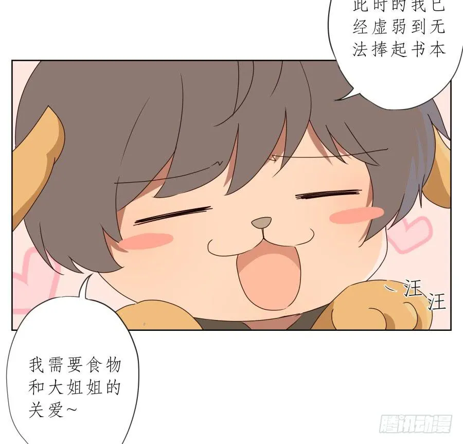 抱歉，这种条件我不能接受！ 第41页