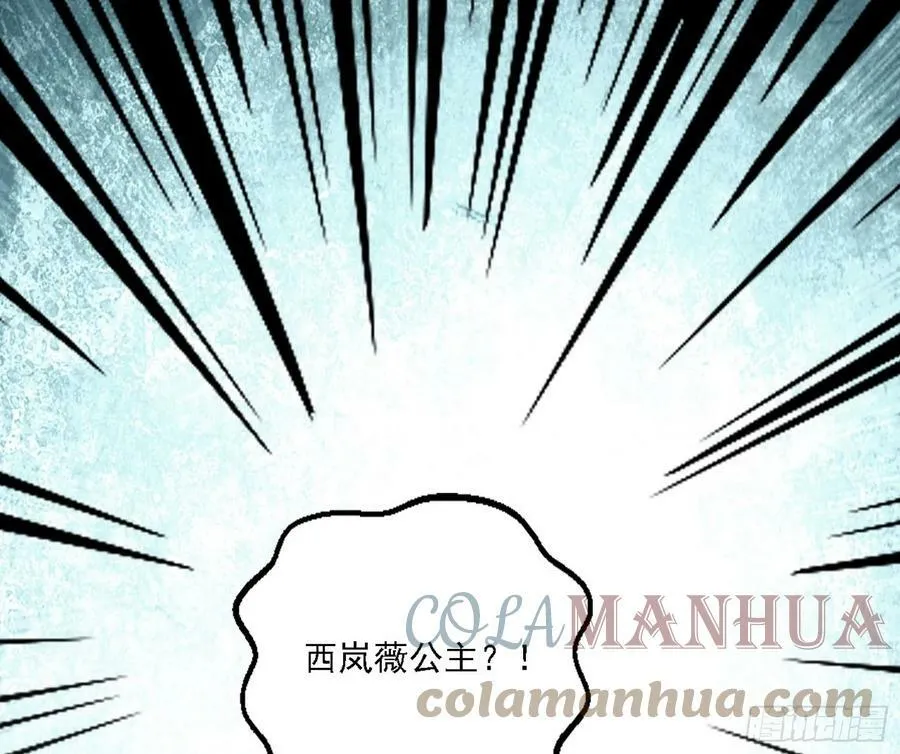 西岚公主西岚薇 第13页