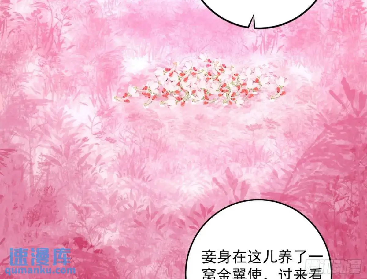 练绮罗的理由和姬云涛的梦境 第30页