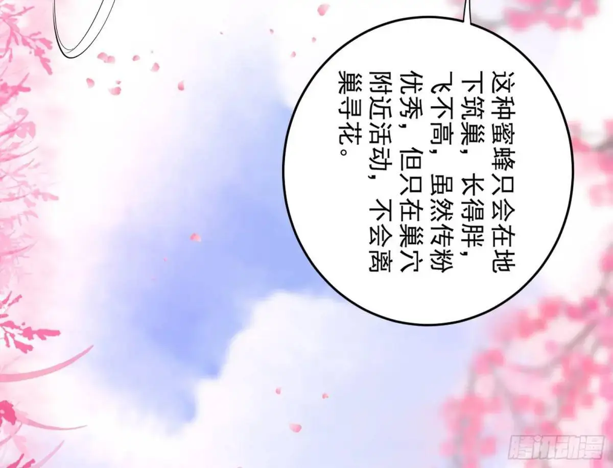 练绮罗的理由和姬云涛的梦境 第42页