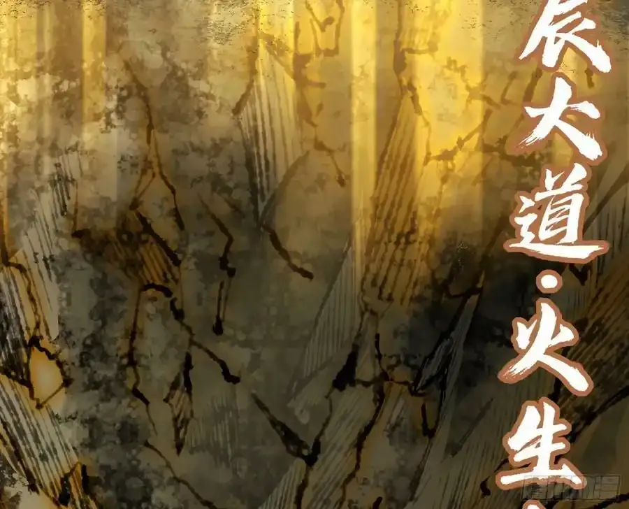 化神VS化神 第99页