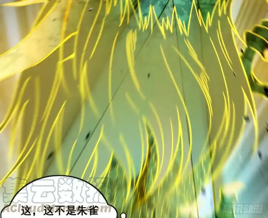 化神VS化神 第121页