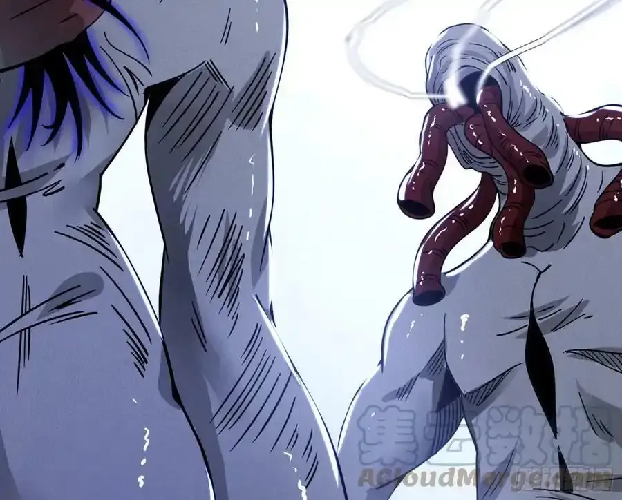 化神VS化神 第213页