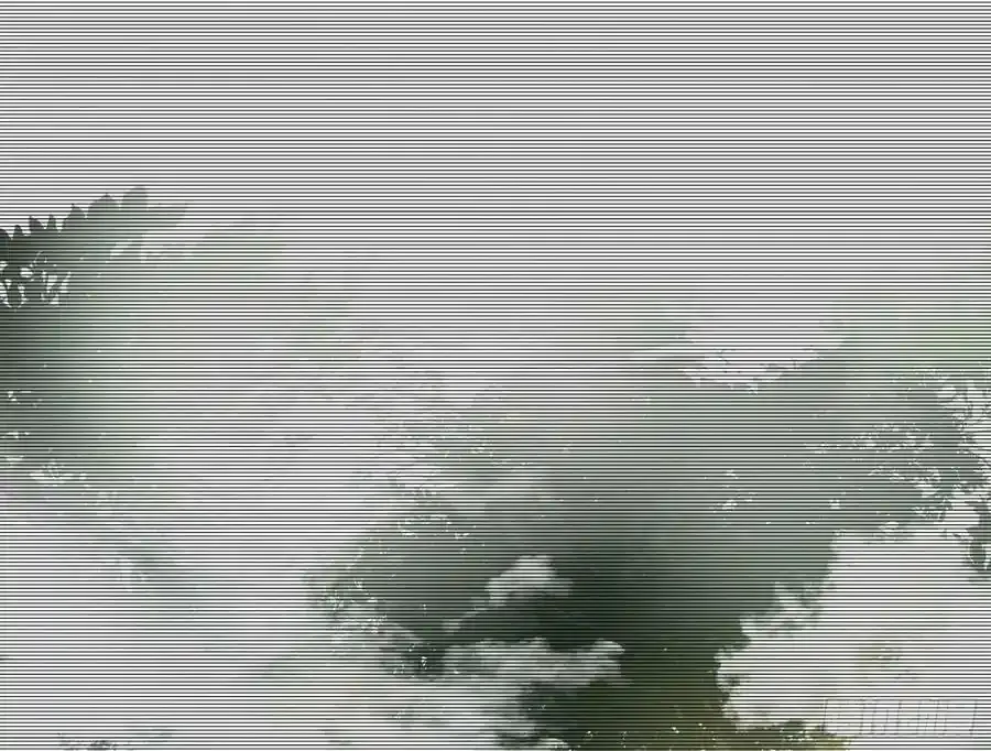 化神剑修与称号再现 第76页