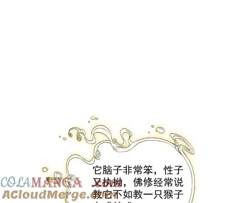 第489话 师与徒 第61页