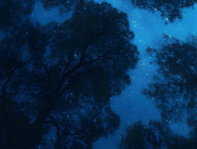 第493话 天大地大，系统最大 第111页