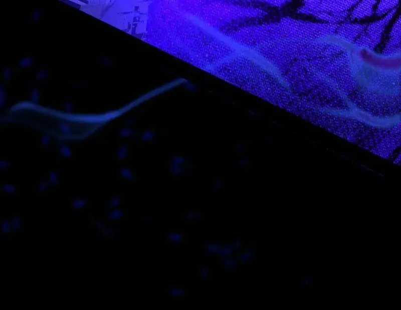 第560话 奇怪的晋升 第44页