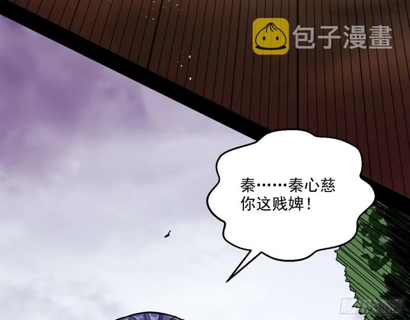 尘埃落定 第20页