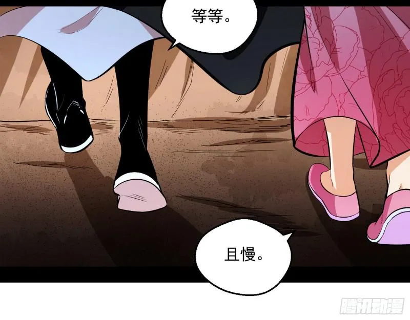 尘埃落定 第45页