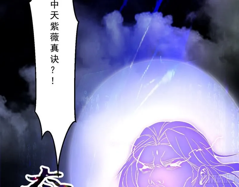 中天紫薇真诀 第19页