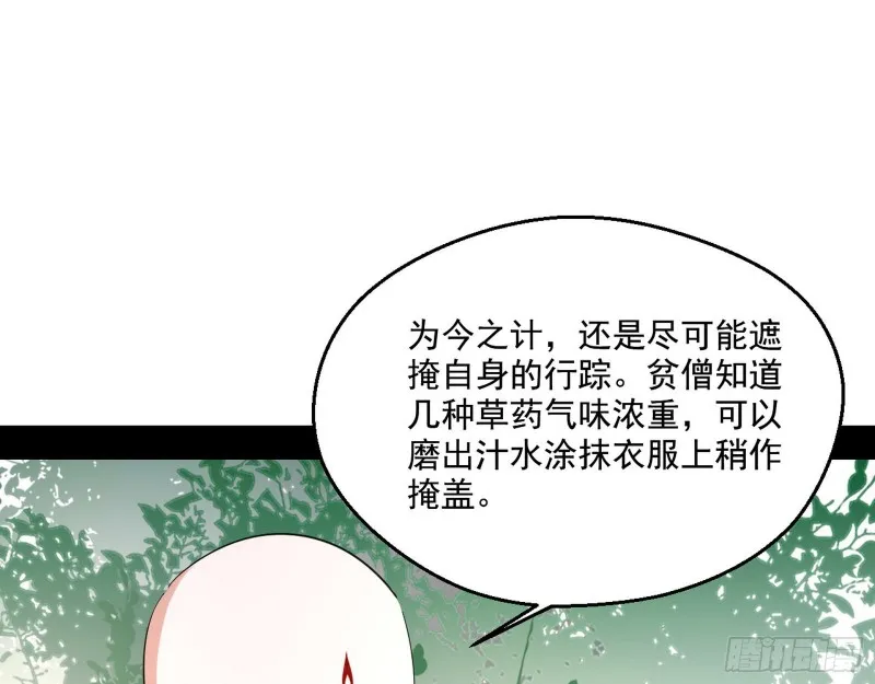 不开窍的谢道韫 第13页