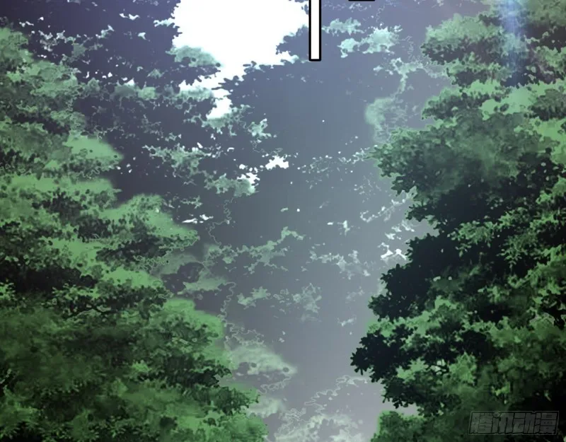 不开窍的谢道韫 第17页