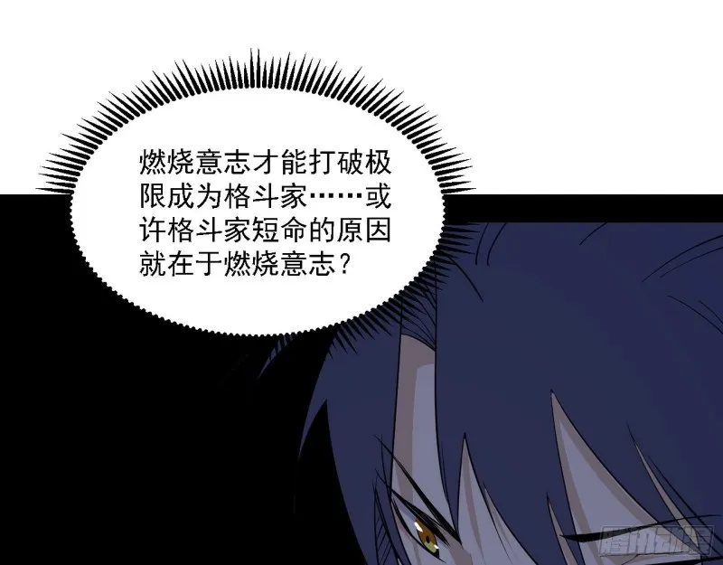 格斗士与格斗家 第42页