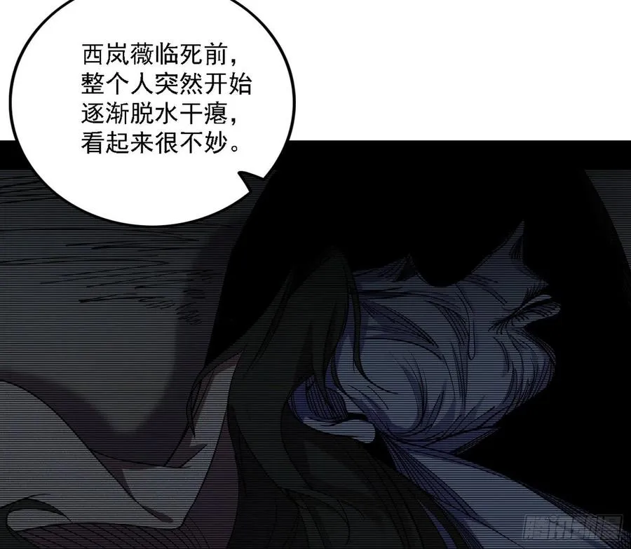 西岚宝库 第52页
