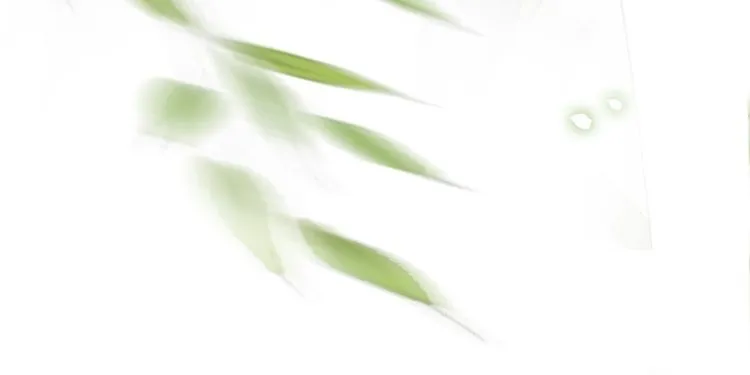 第204话 相拥 第75页