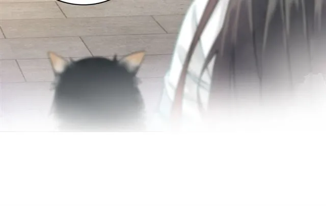 第113话 令人头痛的婚契 第66页