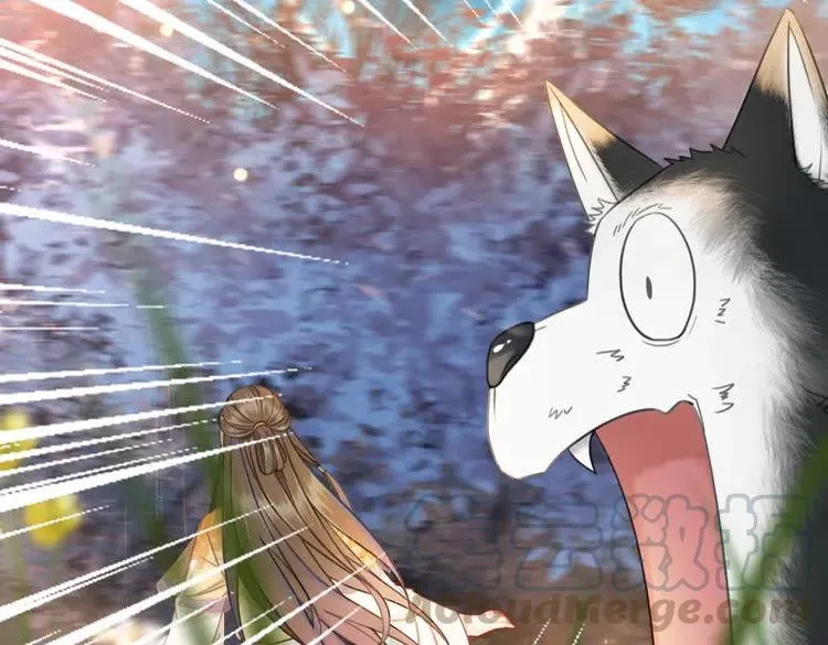 第147话 神秘少主 第56页
