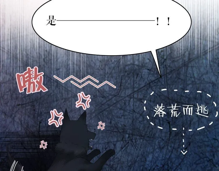 第192话 神秘男子 第33页