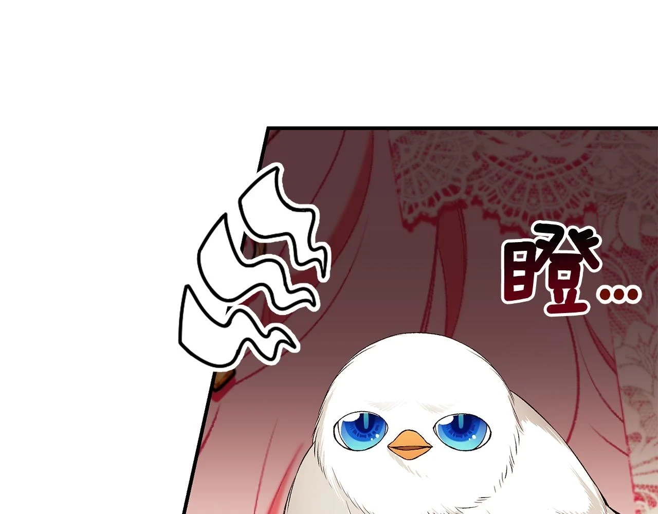 第65话 下定决心表白了 第237页