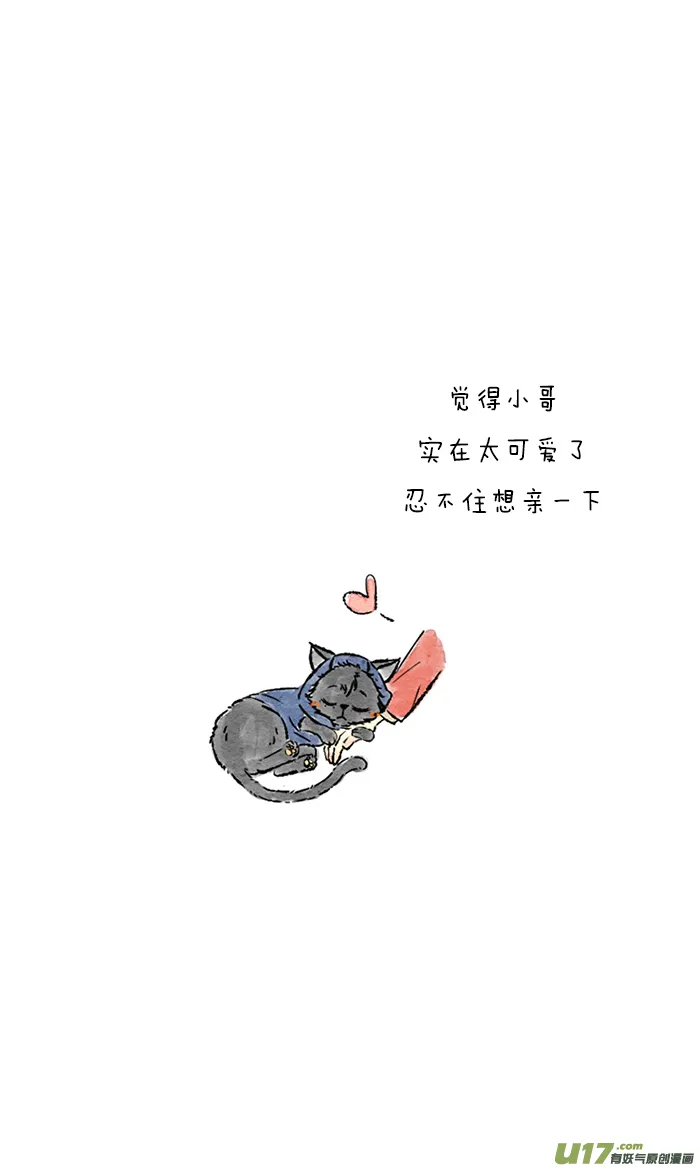 第15个 第11页