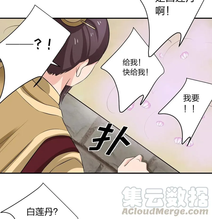 491 最终之战 第37页