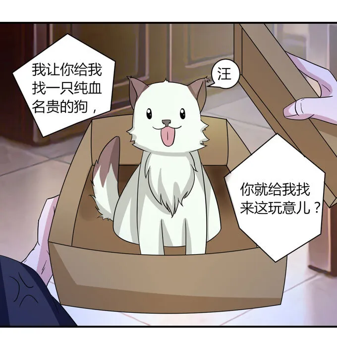 41 二郎神 第3页