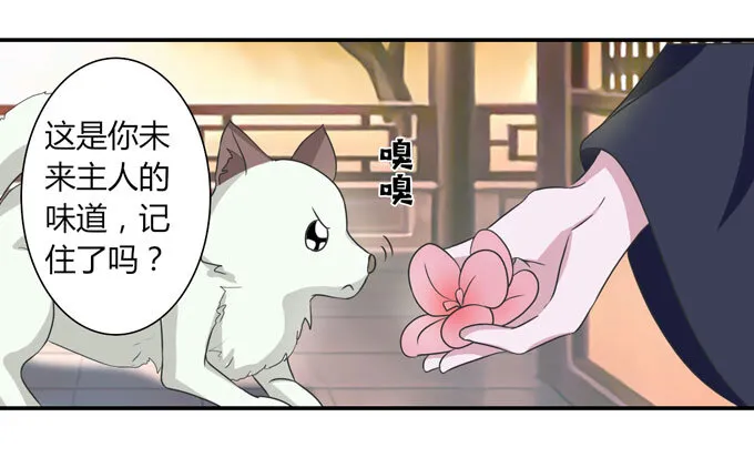 41 二郎神 第11页