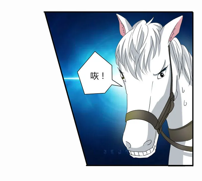 49 赛马 第6页