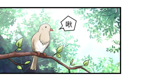 57 输了 第24页
