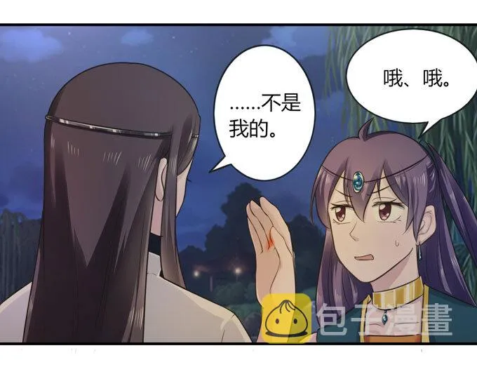 66 承认 第29页