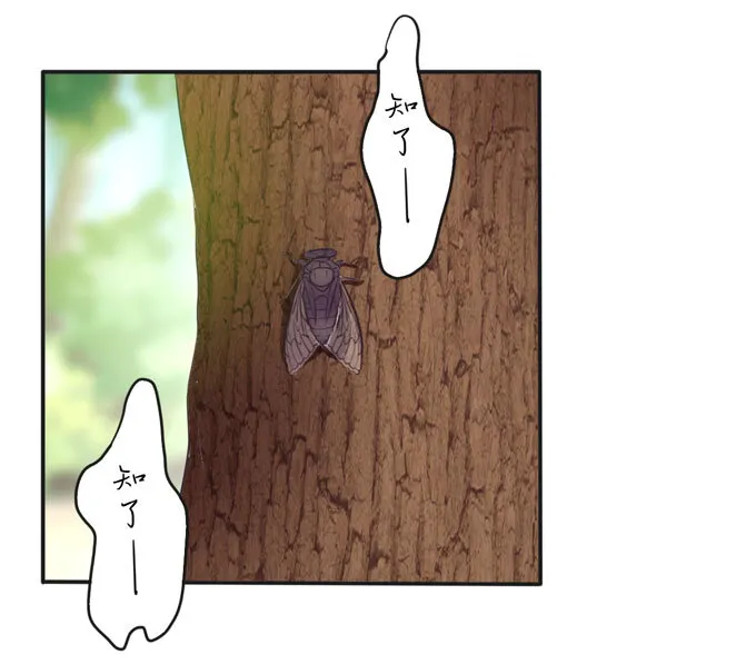 73 解释 第12页