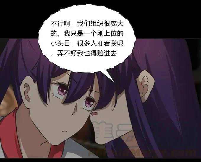 162 组织 第37页