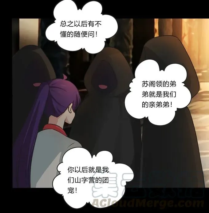 165 梅花内卫 第19页