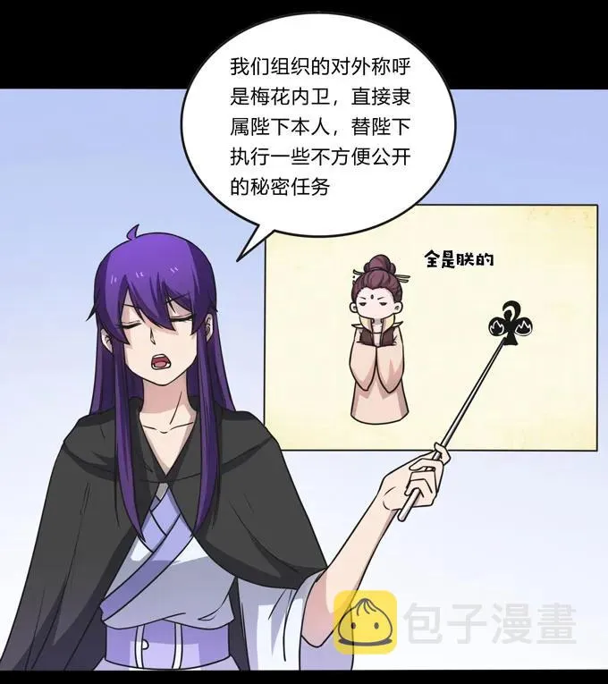 165 梅花内卫 第27页