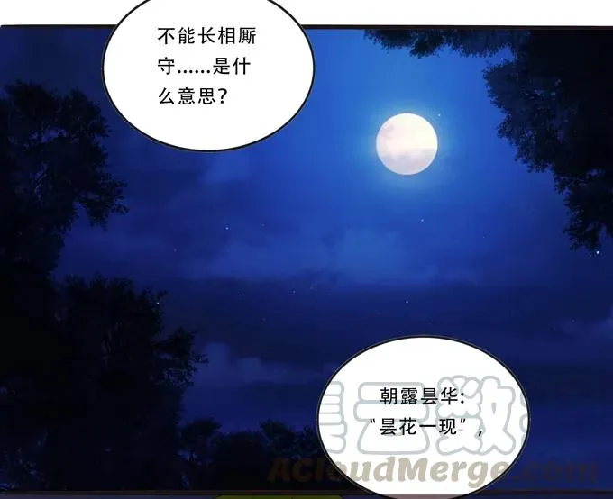 192 朝露昙华 第22页